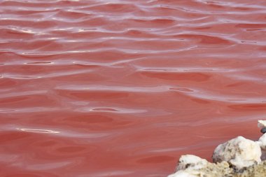 Güzel kırmızı su ve gölün tuzu. Namibya, Afrika 