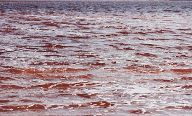 Güzel kırmızı su ve gölün tuzu. Namibya, Afrika 