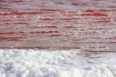 Kırmızı tuz gölüdeniz kabarcığı köpük, Namibya, Afrika