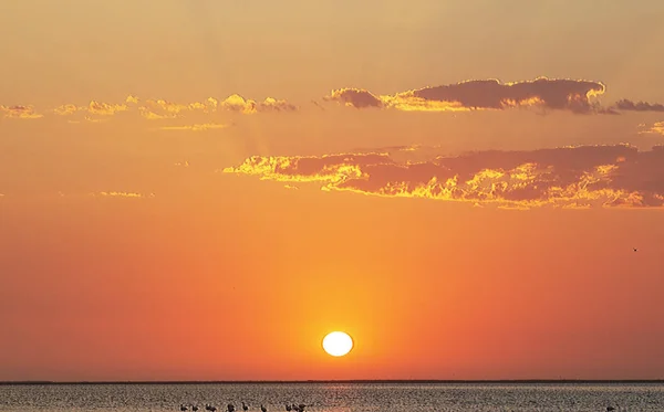 Красивый Красный Закат Яркое Солнце Горизонте — стоковое фото