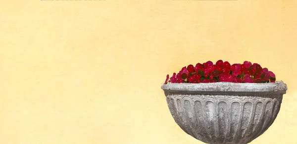 bouquet of red flowers in a stone vase on a yellow wall