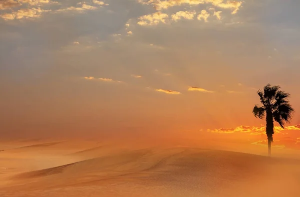 Beautiful gold sand dunes and dramatic  sky with bright clouds  in the Namib  desert