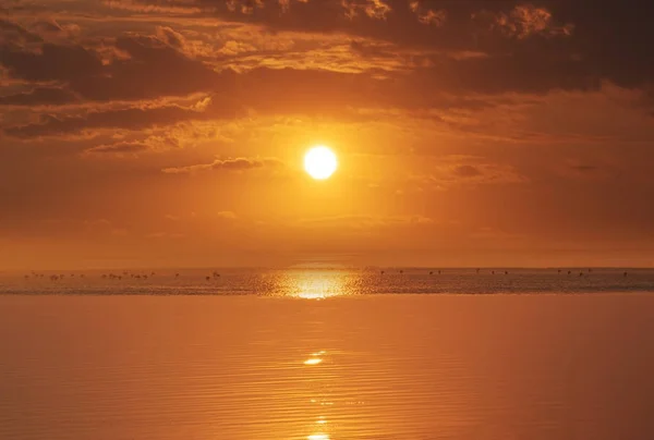 Яркое Солнце Драматические Облака Над Атлантическим Океаном Золотой Закат Африки — стоковое фото