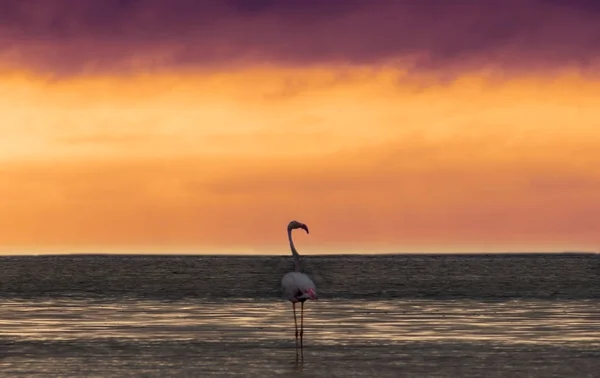 Восход Солнца Над Морем Прекрасный Облачный Пейзаж Медитация Океана Неба — стоковое фото