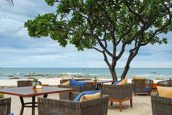 Vista a la cafetería Alfresco con acogedores muebles de ratán y el árbol de la plomería en la terraza de la playa del océano . — Foto de Stock