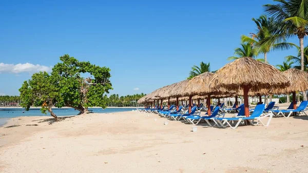 Fila de tumbonas vacías bajo sombrillas de playa hechas de hojas de palmera en la costa atlántica. — Foto de Stock