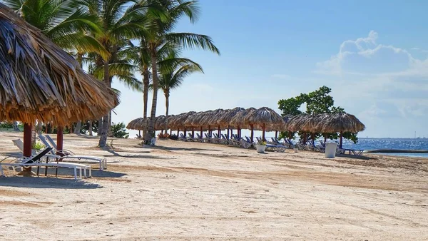 在大西洋海岸线模糊的背景下，有棕榈树和一排躺椅的空旷度假胜地海滩在海滩上的遮阳伞下. — 图库照片