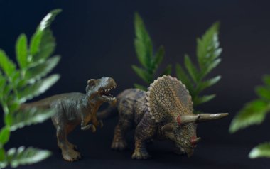 Siyah arka plan üzerinde sulu yeşil yaprakları altında tyrannosaurus ve triceratops dinozorların gerçekçi rakamlar