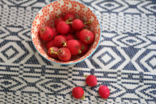 Bir kumaş kumaş üzerine lezzetli turp 