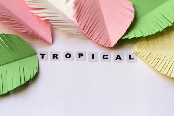 Palavra Tropical Escrita Letras Pretas Sobre Fundo Neutro — Fotografia de Stock