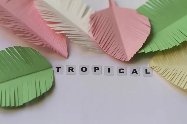 Tropical word written in black letters on neutral background