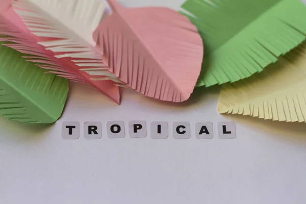 Tropical Word Written Black Letters Neutral Background — Stock Photo, Image