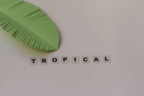 Tropical word written in black letters on neutral background