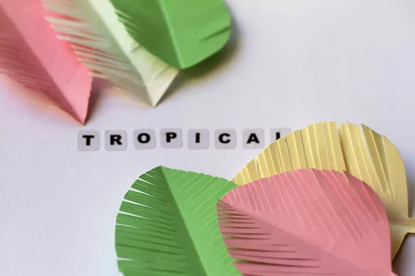 Palabra Tropical Escrita Letras Negras Sobre Fondo Neutro Imagen de stock