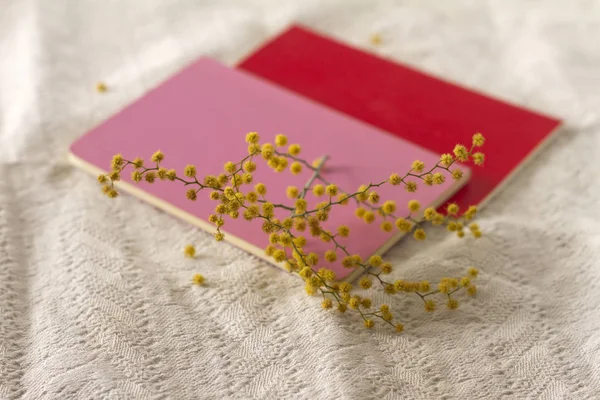 Beyaz arka plan üzerinde renkli not defterleri