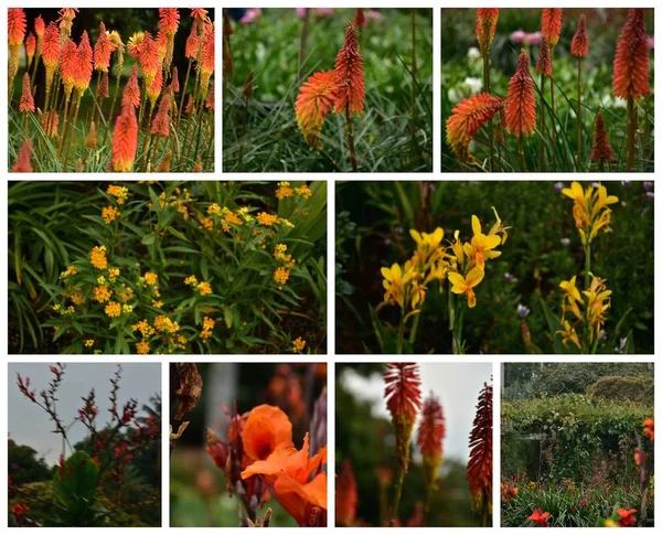 Mozaikové Kolumbijské Květiny Botanická Zahrada Bogota — Stock fotografie