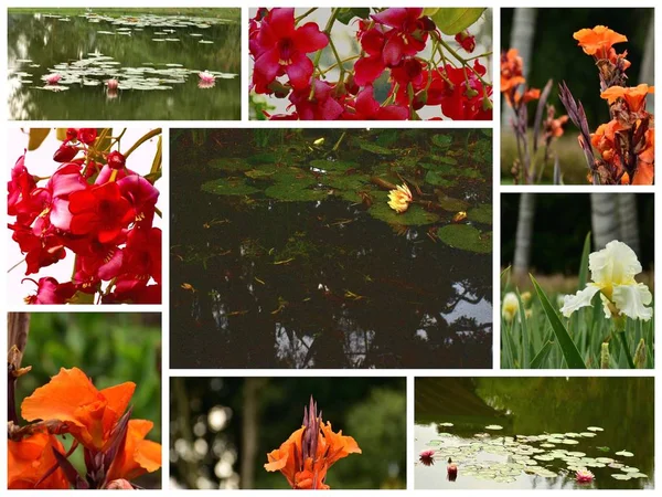 Mozaikové Kolumbijské Květiny Botanická Zahrada Bogota — Stock fotografie