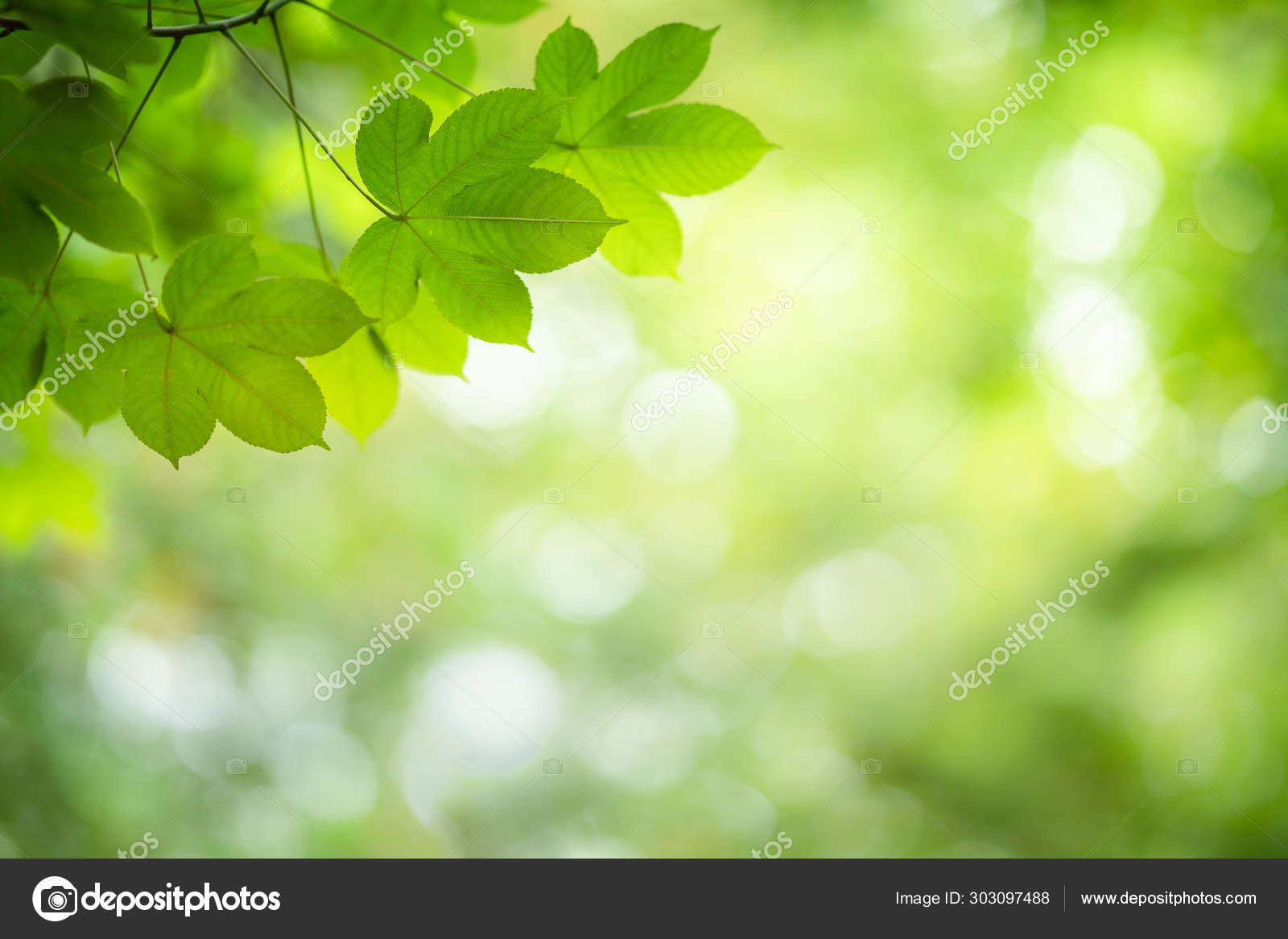 Green nature background. Stock Photo by ©thecop_nn 303097488