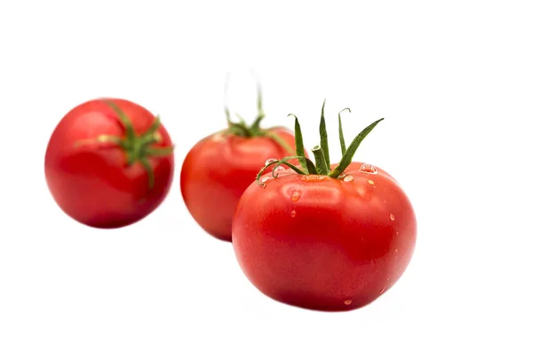 Reife Frische Bio Tomaten Tautropfen Isoliert Auf Weißem Hintergrund — Stockfoto