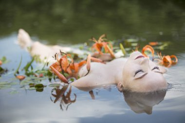 Güzel seksi kadın çiçek yaprakları ile berrak suda banyoları