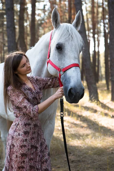 若い美しい女性が馬と森の中を歩く — ストック写真