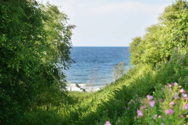 Kumlu deniz plaj ve deniz dalgaları