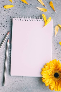 Defter, gümüş kalemler, gri arka plan üzerine sarı gerbera. üst görünüm