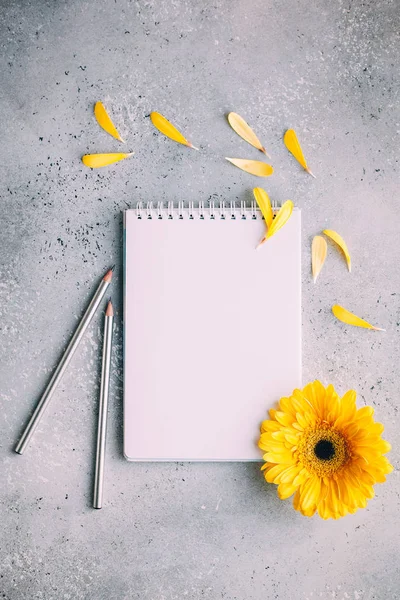 Defter, gümüş kalemler, gri arka plan üzerine sarı gerbera. üst görünüm