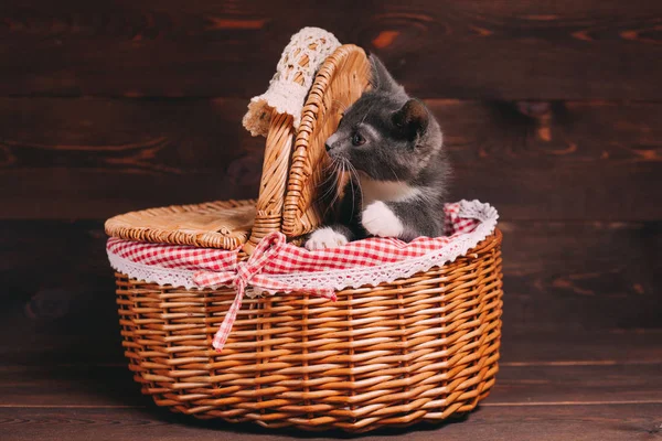 Kleine Katze Spielt Korb Auf Holzgrund — Stockfoto