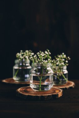gypsophila şişe ahşap arka plan. düğün dekorasyonu. celebration.rustic