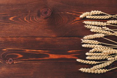 Rie beni aldı. Rustik. Ahşap arka plan