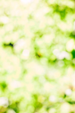 Yeşil soyut bırakır. Doğa geri