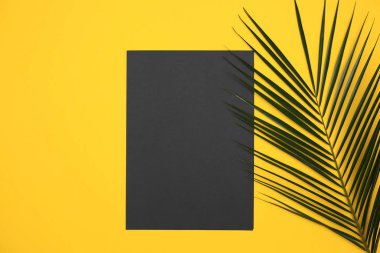 Siyah kağıt yeşil palmiye yaprağı Monstera sarı arka plan üzerinde boş. Düz lay, üst görünüm minimal kavram