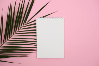 Pembe arka plan üzerinde tropikal palmiye yaprağı Monstera ile beyaz defter. Düz lay, üst görünüm minimal kavram