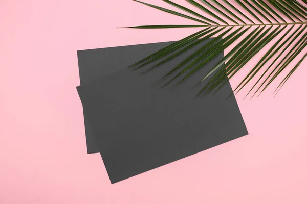 Black paper blank with tropical palm leaf Monstera on pink background. Flat lay, top view minimal concept