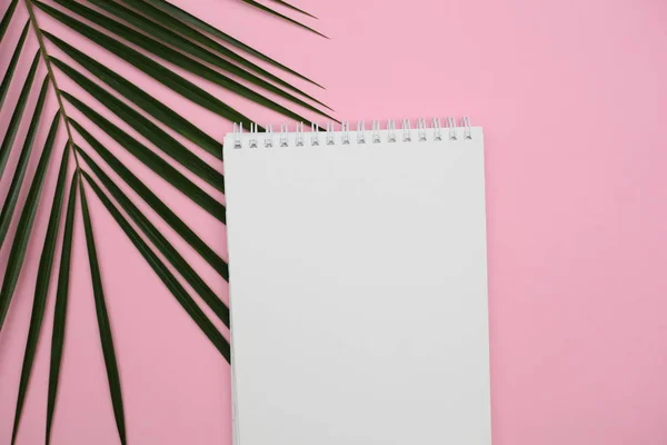 Pembe arka plan üzerinde tropikal palmiye yaprağı Monstera ile beyaz defter. Düz lay, üst görünüm minimal kavram