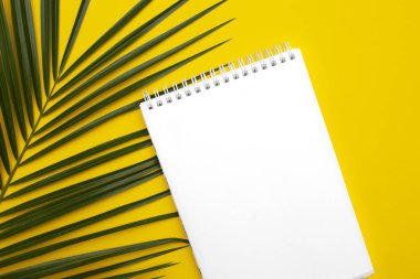 Sarı sırt ve palmiye yaprakları üzerinde beyaz levha