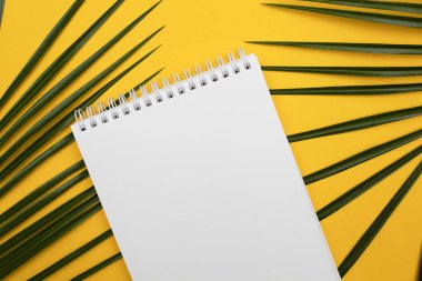 Sarı sırt ve palmiye yaprakları üzerinde beyaz levha