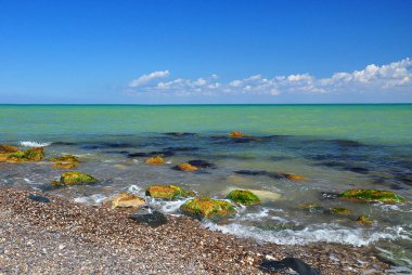 Ön planda taşlar ile Doğal sessiz plaj.