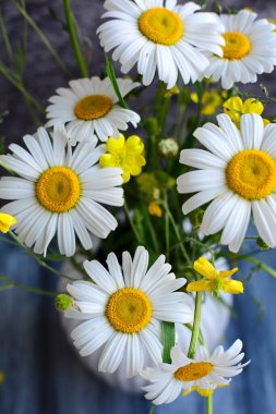 Vazodaki güzel papatya çiçekleri. Yukarıdan bak. Yakın plan.