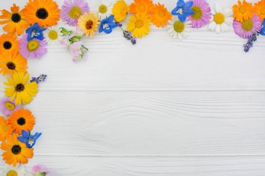 Aydınlık ahşap bir zemin üzerinde farklı yaz çiçeklerinin kompozisyonu bir çerçeve şeklinde dizayn için yan alan