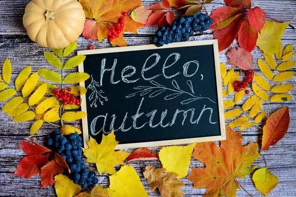 Merhaba, Autumn. Sonbahar yaprakları, üzümler, viburum üzümleri ve balkabakları ahşap bir arka planda. Yukarıdan görüntüle