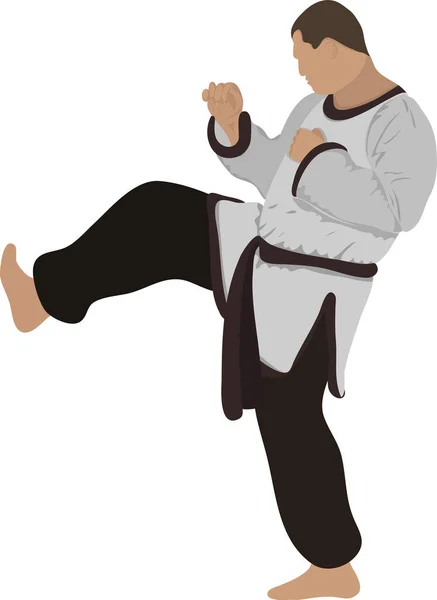 Art Martial Images Comment Défendre Battre Les Gestes Main Pied — Image vectorielle