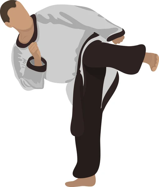 Art Martial Images Comment Défendre Battre Les Gestes Main Pied — Image vectorielle