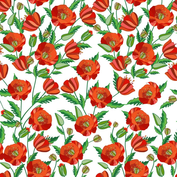 Şablon. Beyaz arka planda kırmızı haşhaş. Vektör grafik çizim. İç tasarım, web tasarımı, dergiler, kapaklar, kumaşlar, kağıt için kullanılabilir.