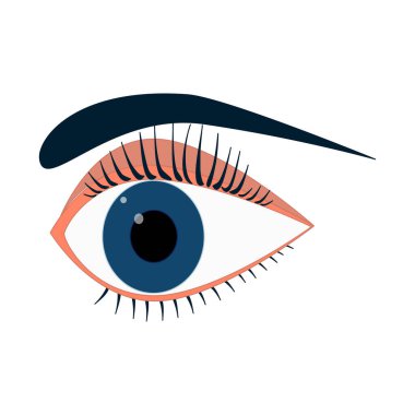 Göz, kaş, kirpikler. Yüzün bir parçası. Grafik vektör çizimi. Çizgi film tarzı. Kolaj, çıkartma ve web tasarımı için ayrı bir öge.