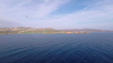 Deniz ve martı üzerinde havadan çekilen kamera önünde uçan