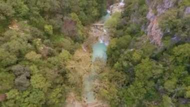 Nehir ve ağaçların havadan çekilmiş görüntüsü