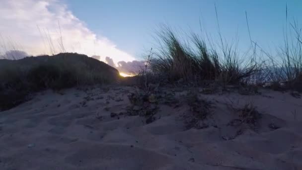 Handhållen Slow Motion Sköt Går Över Sanddyner Och Avslöjar Solnedgång — Stockvideo