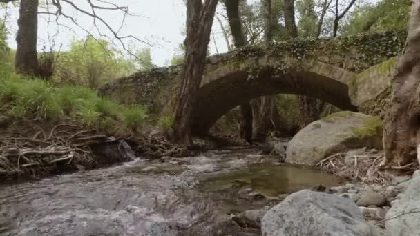 Kıbrıs Bir Ortaçağ Köprüsü Altında Akan Nehir Yavaş Hareket Çekim Telifsiz Stok Video